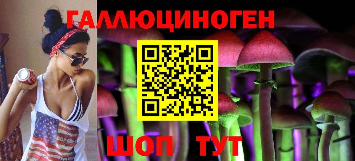Печора  Псилоцибиновые грибы Psilocybine cubensis  Вход с VPN 